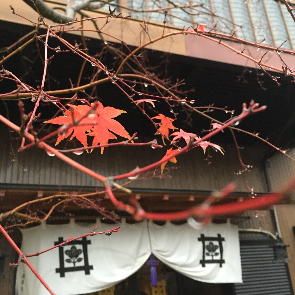 サービス