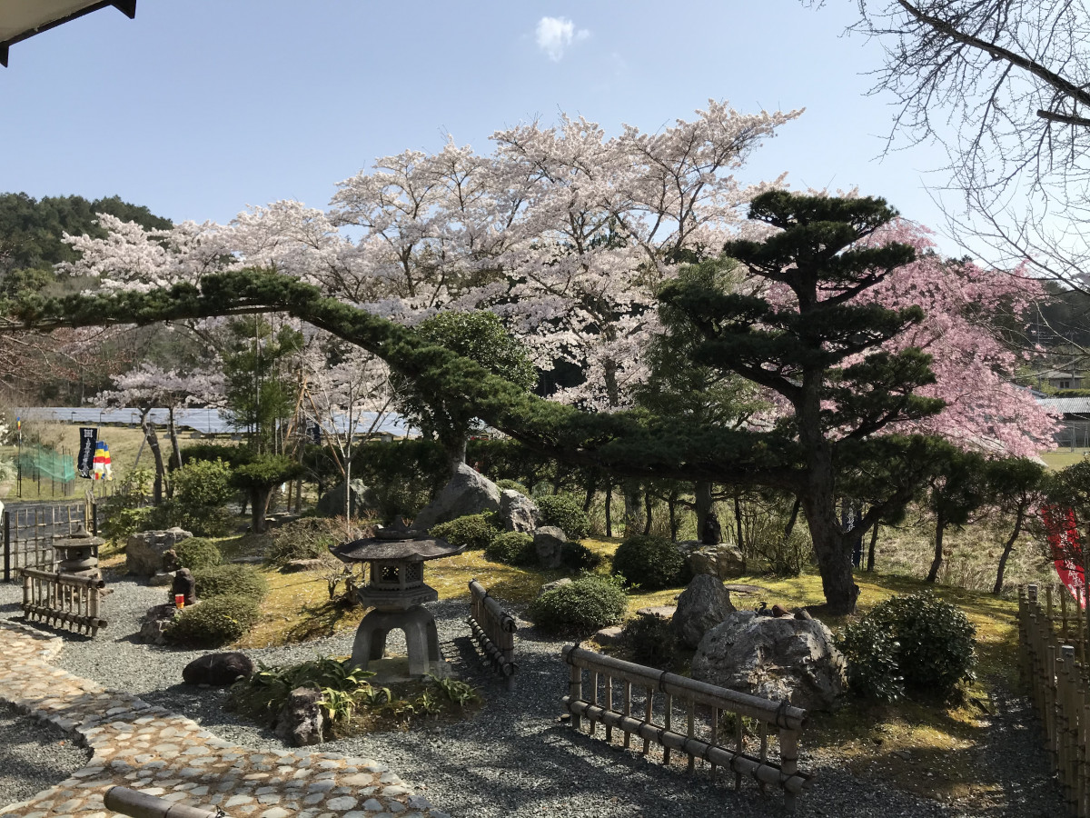 サービス